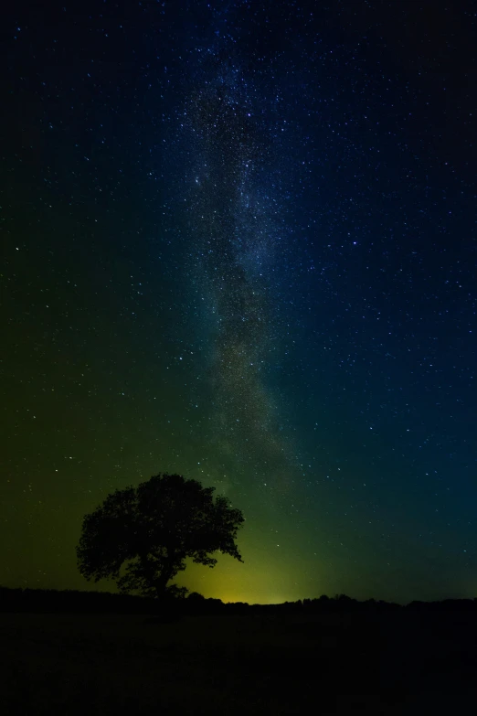 a lone tree is silhouetted against the night sky, unsplash contest winner, light and space, the milk way, meadows, green sky, ox