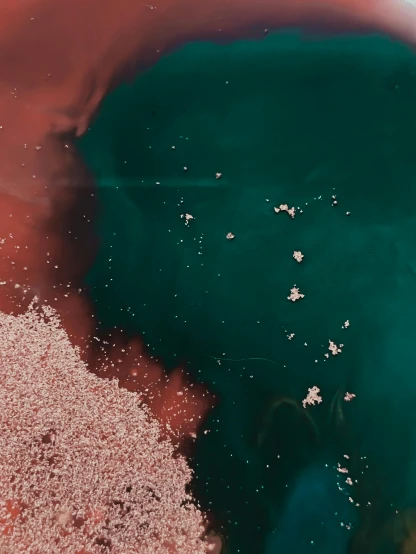 an aerial view of a body of water, a microscopic photo, by Attila Meszlenyi, trending on unsplash, color field, red gems scattered like dust, teal and pink, looking partly to the left, glitter gif