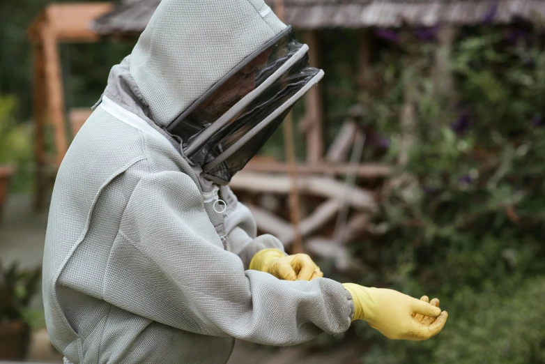 a man in a bee suit holding a bunch of bananas, by Alice Mason, pexels contest winner, happening, grey, fencing, wearing nanotech honeycomb robe, profile image