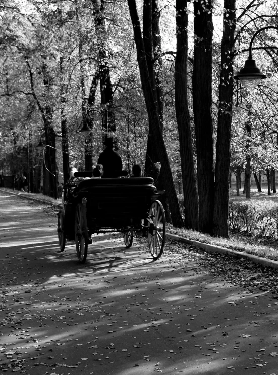 a black and white photo of a horse drawn carriage, a black and white photo, by Antoni Brodowski, romanticism, time travelers appear in a park, zdislav beksinsk - h768, spring evening, sunny day in a park