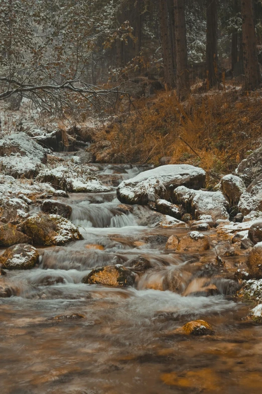 a stream running through a forest covered in snow, a picture, unsplash contest winner, tonalism, wet rocks, panoramic shot, brown, 8k hdr movie still