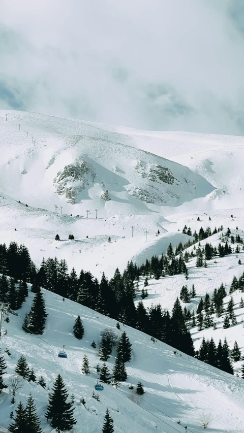 a group of people riding skis down a snow covered slope, les nabis, snow on trees and ground, white-space-surrounding, a cozy, conde nast traveler photo