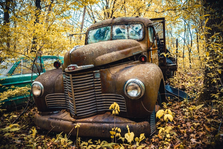 an old truck sitting in the middle of a forest, by Greg Spalenka, pexels contest winner, covered in leaves, scrapyard, golden hues, medium format color photography