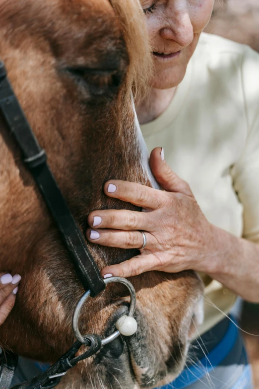 a close up of a person petting a horse, noticeable tear on the cheek, maintenance, focused on neck, profile image