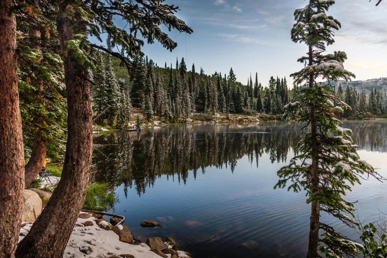 a large body of water surrounded by trees, by Lynn Pauley, unsplash contest winner, spruce trees, crystal lake, rocky meadows, slide show