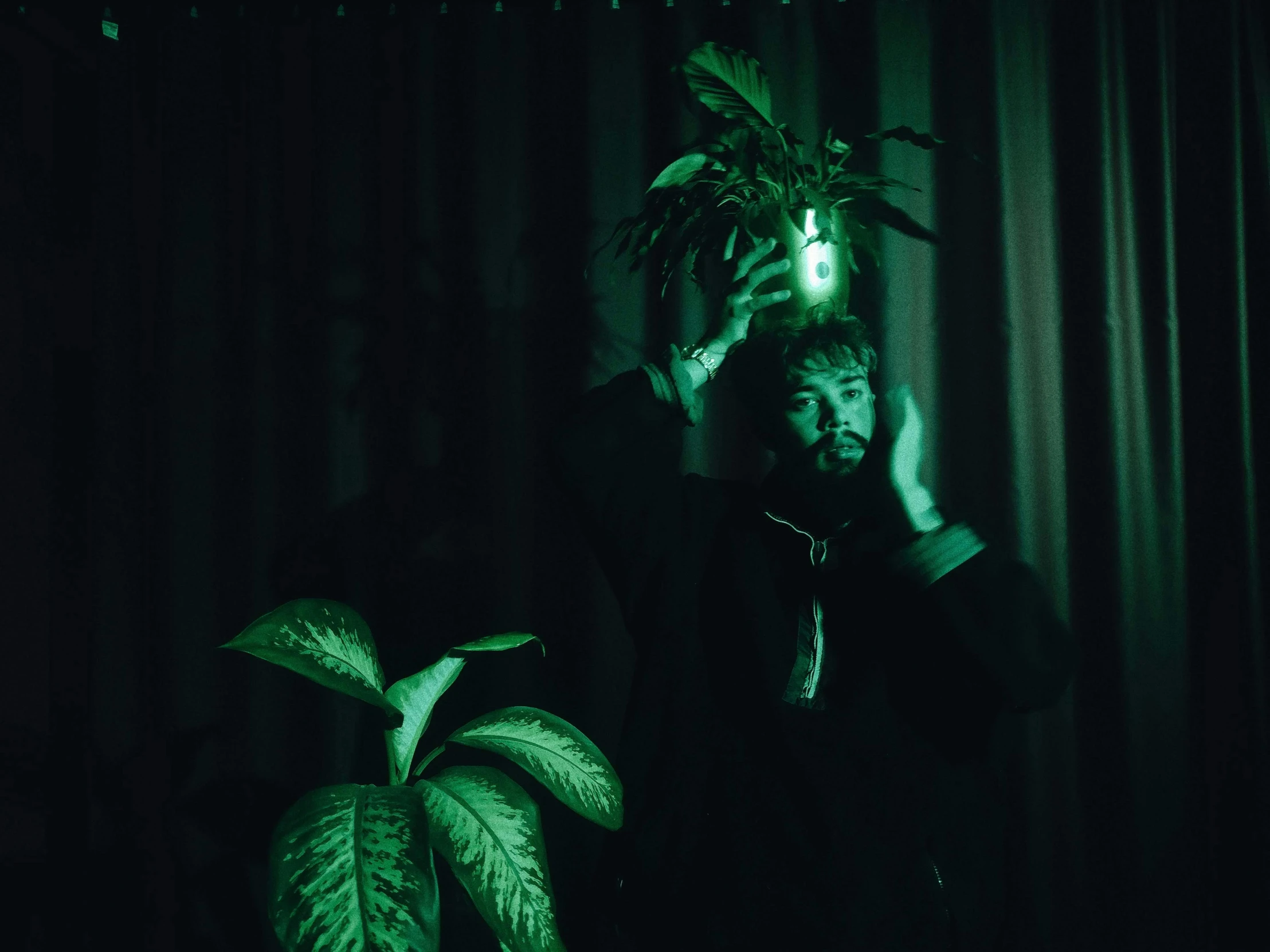 a man talking on a cell phone next to a plant, an album cover, inspired by Elsa Bleda, unsplash, symbolism, green scary lights, he is casting a lighting spell, monochrome, posing in dramatic lighting