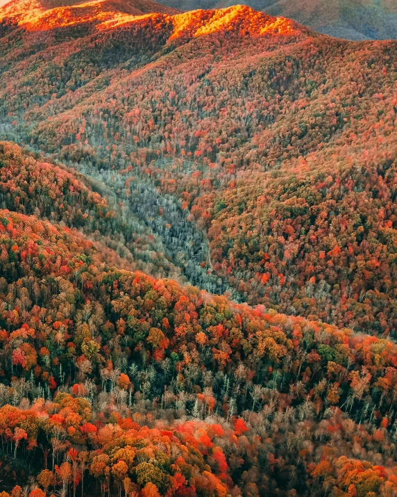 an aerial view of a mountain range with trees in the foreground, by Alison Geissler, unsplash contest winner, color field, vermont fall colors, ignant, style of joel meyerowitz, red and orange colored