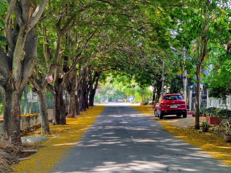 a red car driving down a tree lined street, by Max Dauthendey, pexels contest winner, hyperrealism, bangalore, yellow and greens, lianas, open street maps