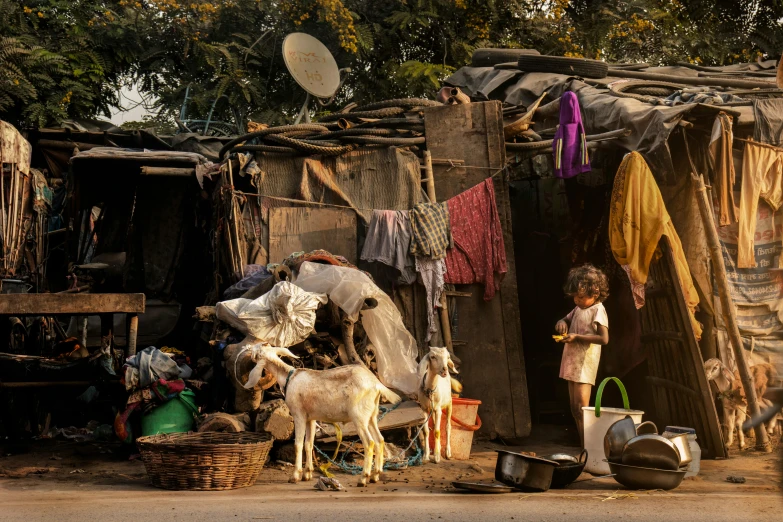 a small child standing in front of a shack, by Daniel Lieske, pexels contest winner, renaissance, animals in the streets, on an indian street, belongings strewn about, goat