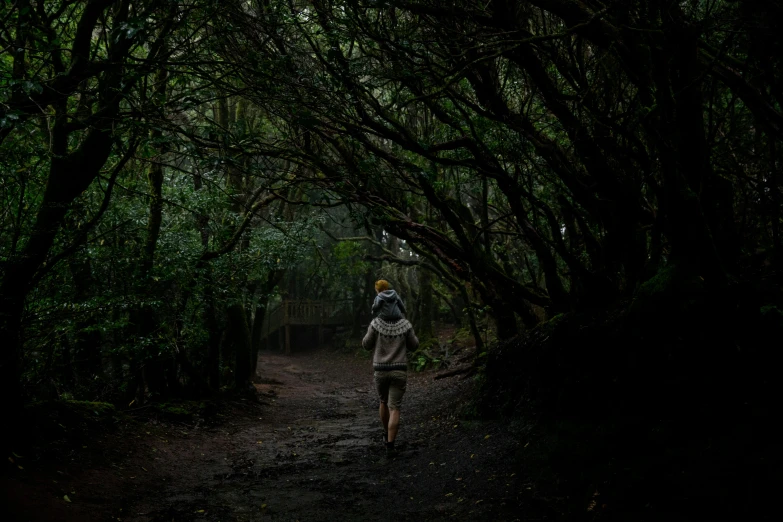 a person riding a bike through a forest, a picture, by Elsa Bleda, unsplash contest winner, australian tonalism, hiking clothes, azores, walking into a deep dark florest, te pae