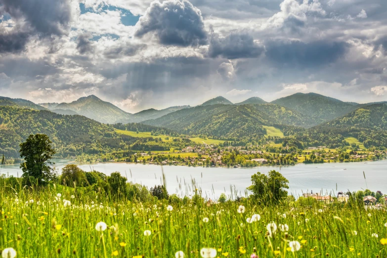 a view of a lake and mountains with dandelions in the foreground, by Franz Hegi, pexels contest winner, renaissance, rolling green hills, austro - hungarian, where a large, rain lit