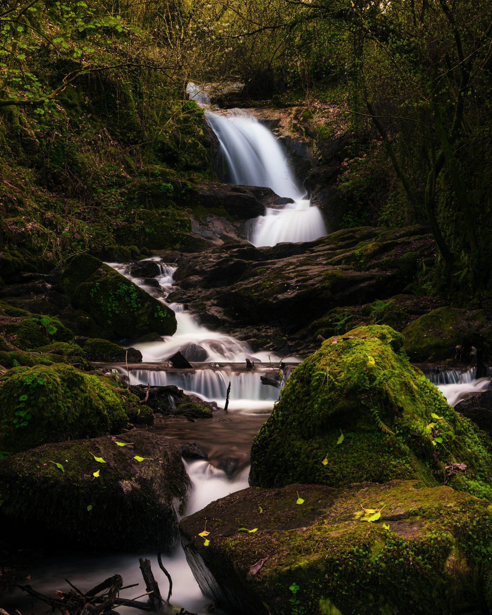 a small waterfall flowing through a lush green forest, an album cover, pexels contest winner, wales, thumbnail, iceland photography, medium format. soft light