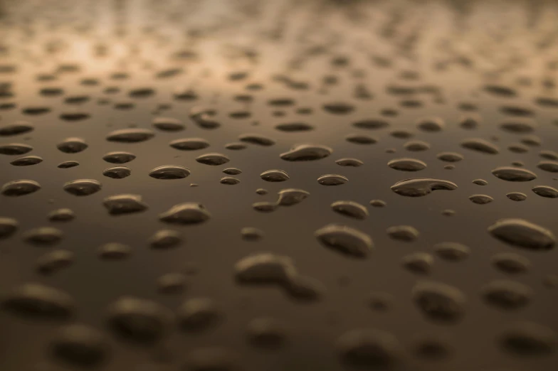 a close up of water droplets on a surface, by Jan Kupecký, unsplash, hyperrealism, 3 d octane render 8 k, brown atmospheric lighting, ground detailed, rainy evening