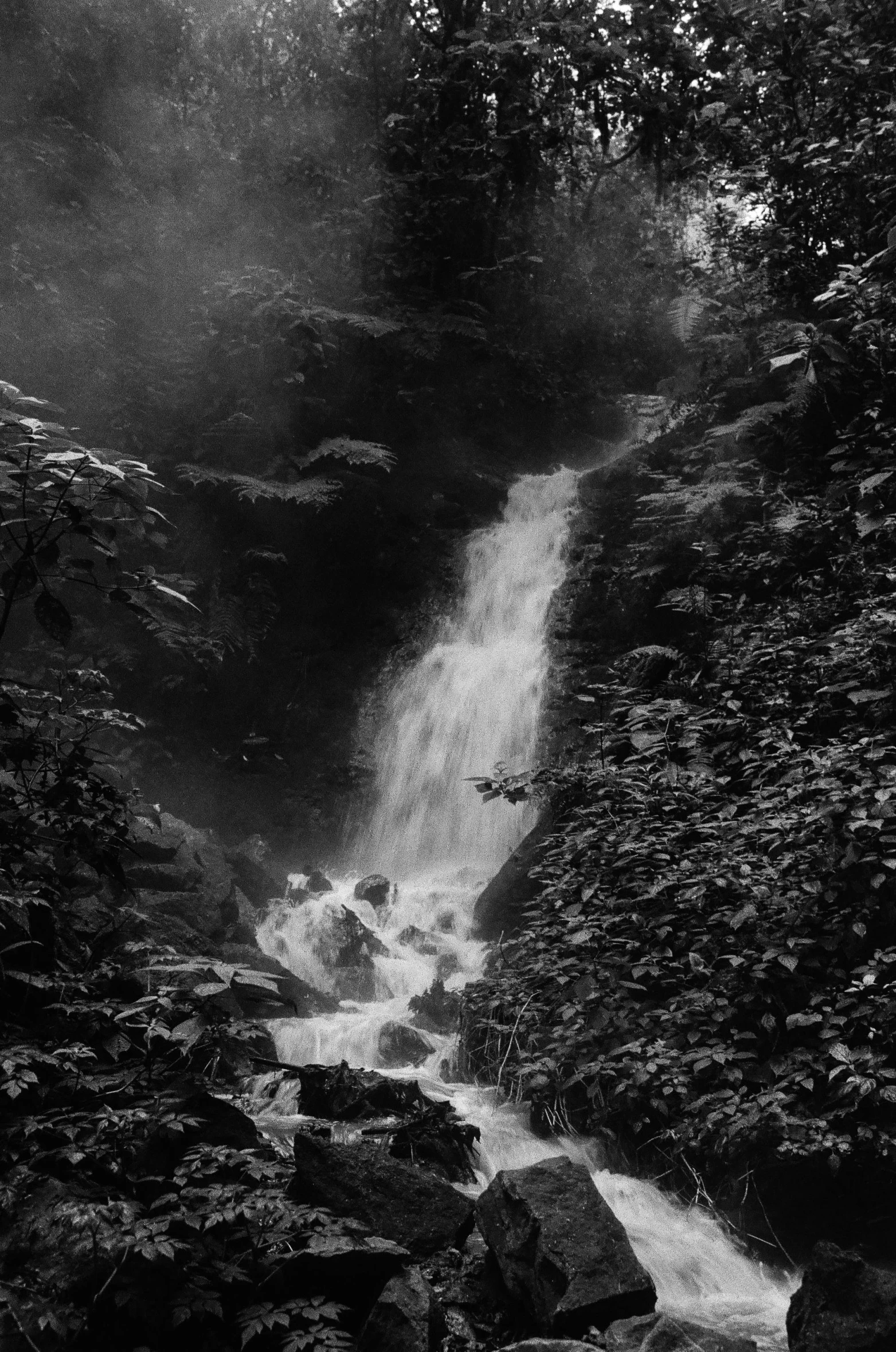 a black and white photo of a waterfall, inspired by Franz Sedlacek, sumatraism, album cover, lofi, f / 1, jungle