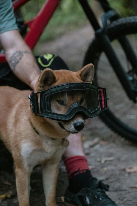 a man sitting on the ground with a dog wearing goggles, a picture, inspired by Shiba Kōkan, unsplash, mountain bike helmet, extreme close shot, reddit post, australian