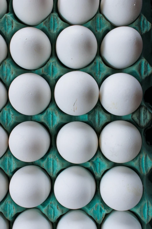 a green carton filled with lots of white eggs, by Jan Tengnagel, trending on unsplash, renaissance, symmetry, bottom body close up, 1 6 x 1 6, blue