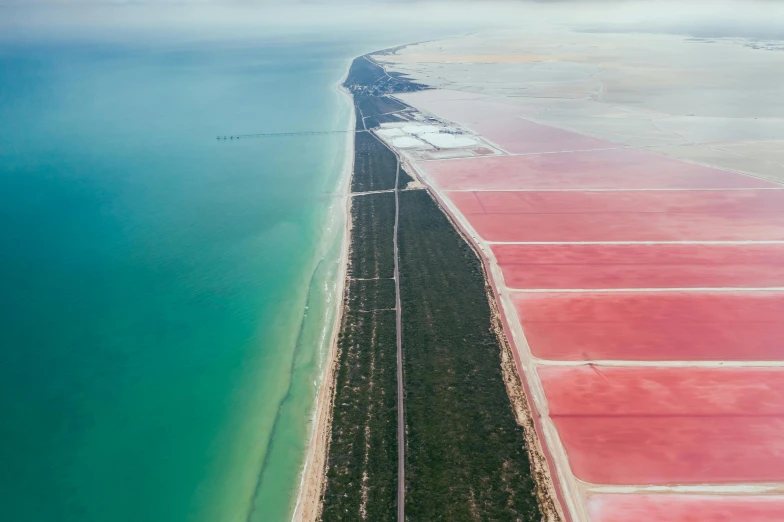 an aerial view of a large body of water, inspired by Scarlett Hooft Graafland, unsplash contest winner, color field, pink white and green, “ iron bark, half red, runway