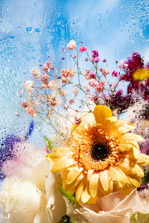 a bunch of flowers sitting on top of a table, an album cover, inspired by Jeff Koons, romanticism, water particles, close - up photograph, summer weather, multi - coloured