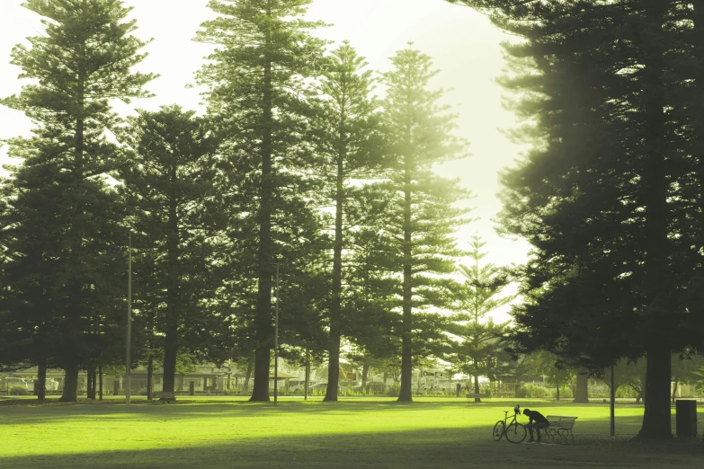 a bike that is sitting in the grass, inspired by George Pirie, unsplash contest winner, australian tonalism, beautiful pine tree landscape, the city is full of green plants, lone person in the distance, oceanside
