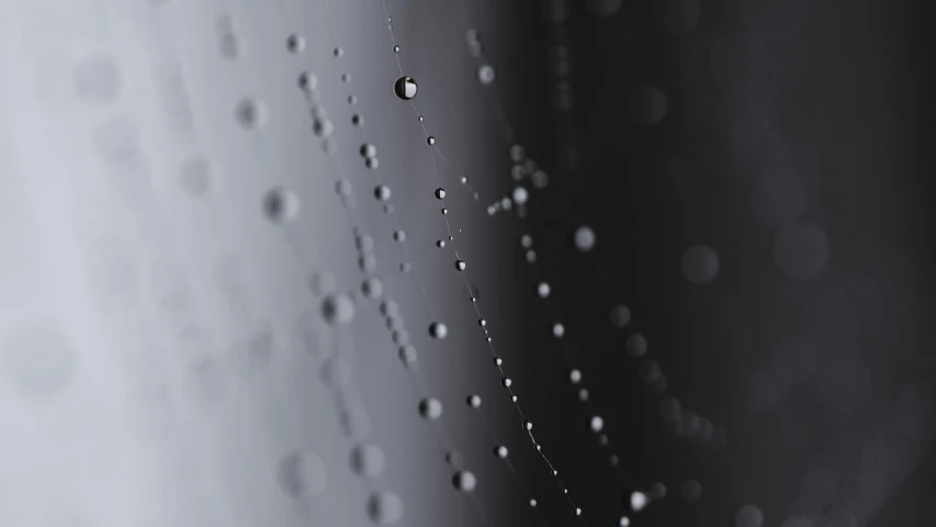 a close up of water droplets on a window, a macro photograph, inspired by Lucio Fontana, unsplash, conceptual art, panel of black, ignant, cybernetic webs, alessio albi