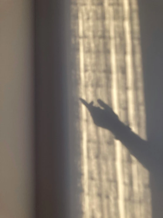a shadow of a person standing in front of a window, with fingers, sun shaft, photograph taken in 2 0 2 0, ignant
