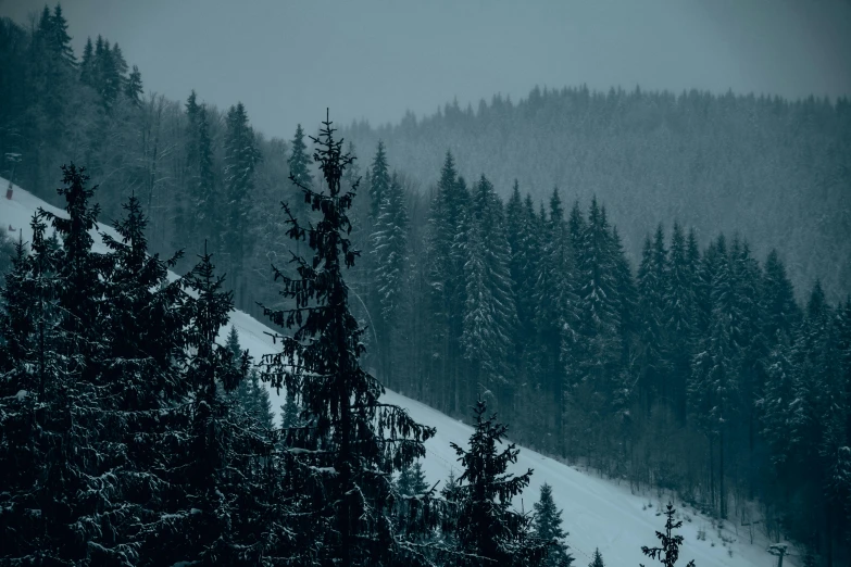 a person riding a snowboard down a snow covered slope, a photo, inspired by Elsa Bleda, pexels contest winner, renaissance, dark pine trees, gloomy landscape, ((forest)), blue and gray colors