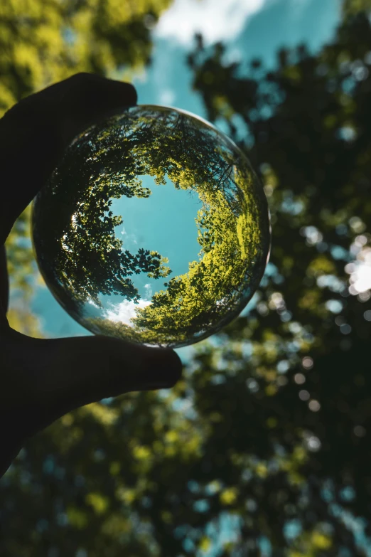a person holding a glass ball with trees in the background