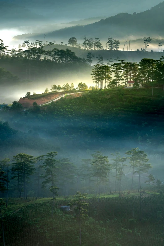 a foggy valley with trees and mountains in the background, by Basuki Abdullah, sumatraism, vietnam, lpoty, late afternoon light, house on a hill