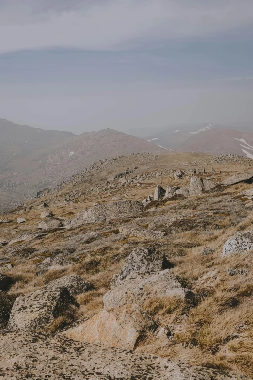 a man standing on top of a rocky hill, trending on unsplash, les nabis, 4 k cinematic panoramic view, distant - mid - shot, 35 mm photo, brown