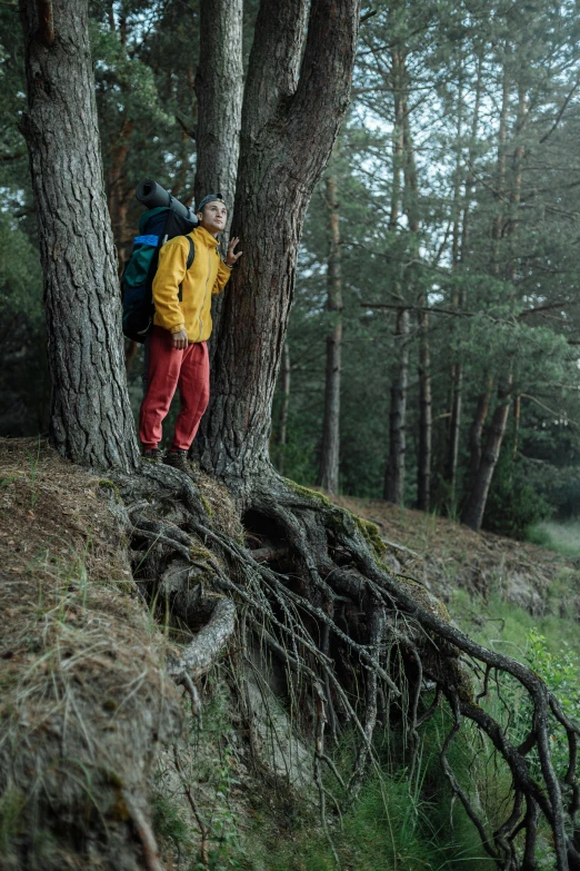 a man in a yellow jacket standing next to a tree, by Grytė Pintukaitė, unsplash, renaissance, buttress tree roots, still from the movie, a man wearing a backpack, pine wood