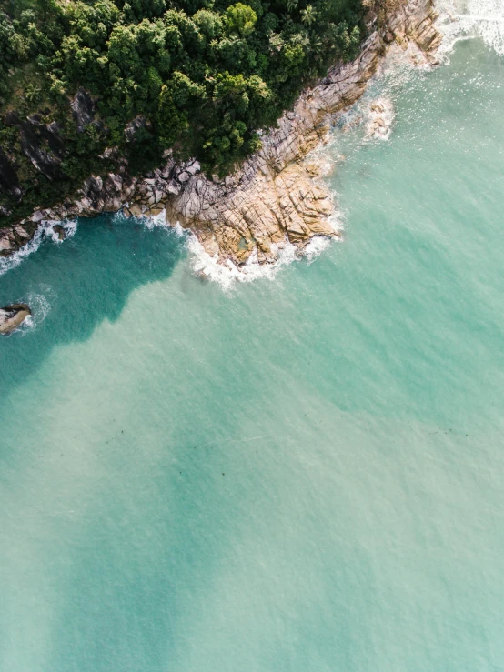 an aerial view of a body of water surrounded by trees, pexels contest winner, looking out at the ocean, abel tasman, beautiful composition 3 - d 4 k, thumbnail