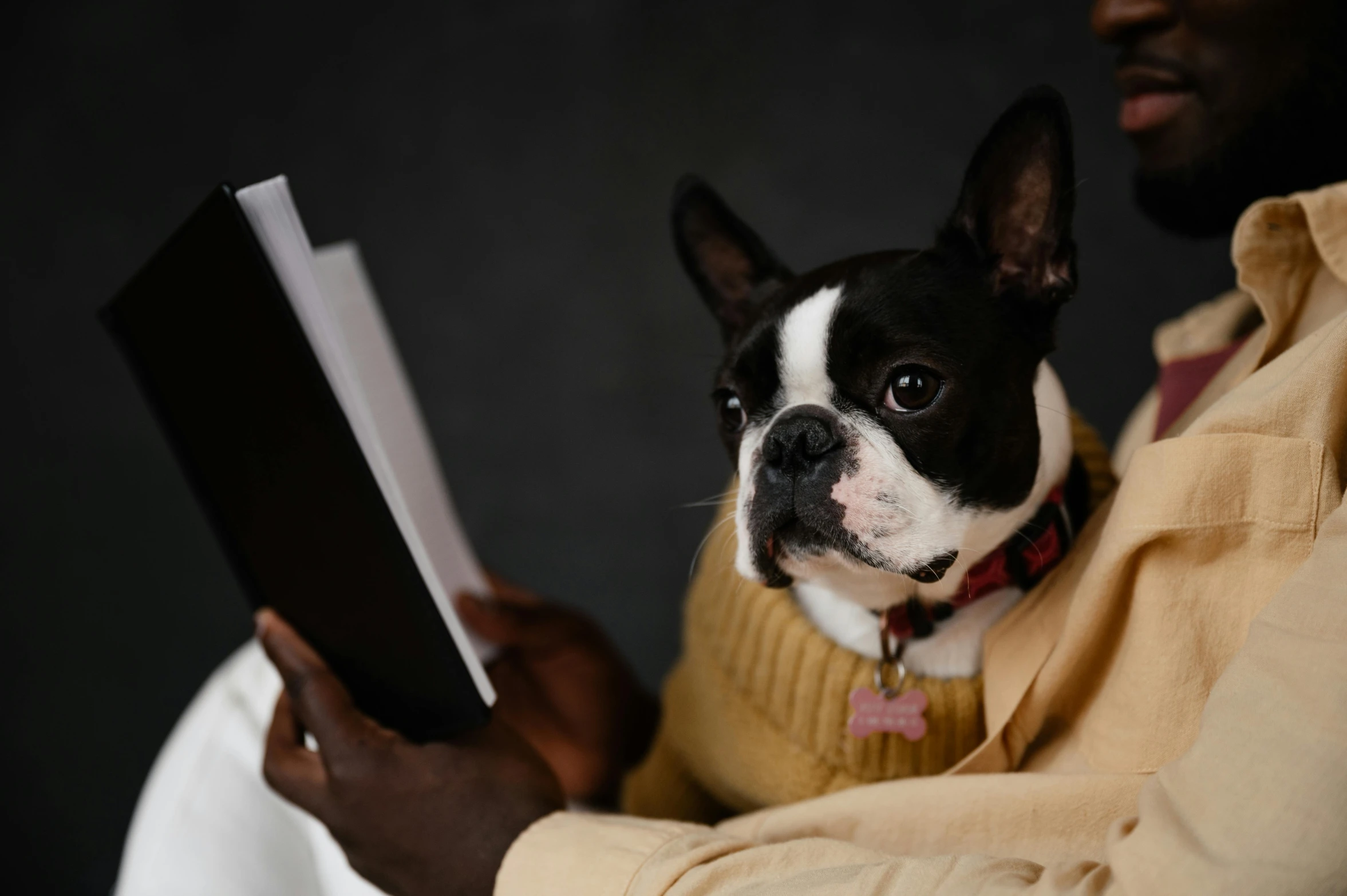 a close up of a person holding a dog, an album cover, by Emma Andijewska, pexels contest winner, trying to read, dark-skinned, french bulldog, studious