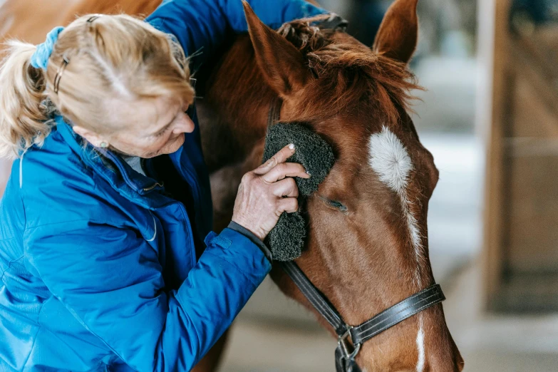 a woman in a blue jacket petting a brown horse, pexels contest winner, hair detailing, dry brushing, thumbnail, sweat