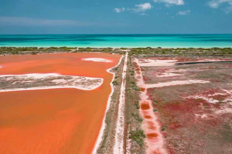 a large body of water next to a beach, a colorized photo, inspired by Scarlett Hooft Graafland, unsplash contest winner, land art, large patches of plain colours, flat wastelands, varadero beach, covered in coral