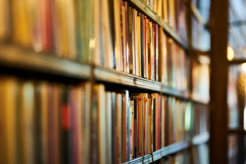 a bookshelf filled with lots of books in a library, by Konrad Witz, tilt shift”, 2 5 6 x 2 5 6 pixels, getty images, low - angle shot