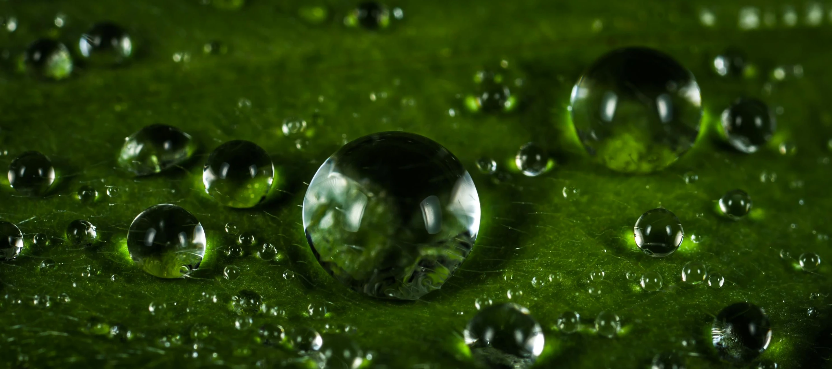 a close up of water droplets on a leaf, by Adam Marczyński, pixabay, photorealism, spherical lens, high quality photo, photorealistic octane render 8 k, green crystal