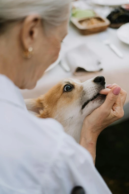 a woman sitting at a table with a dog, up-close, plating, fennec, highly capsuled