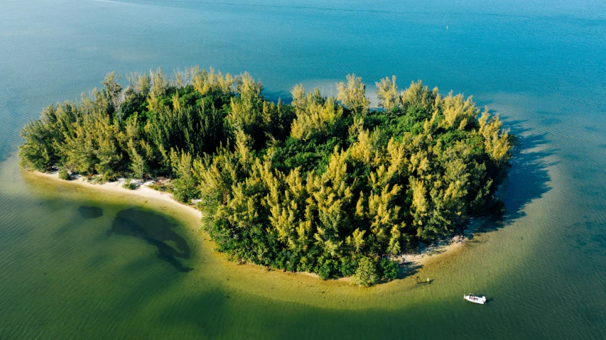 a small island in the middle of the ocean, by Bernard Meninsky, pexels contest winner, florida, vibrant foliage, 2000s photo, scattered islands