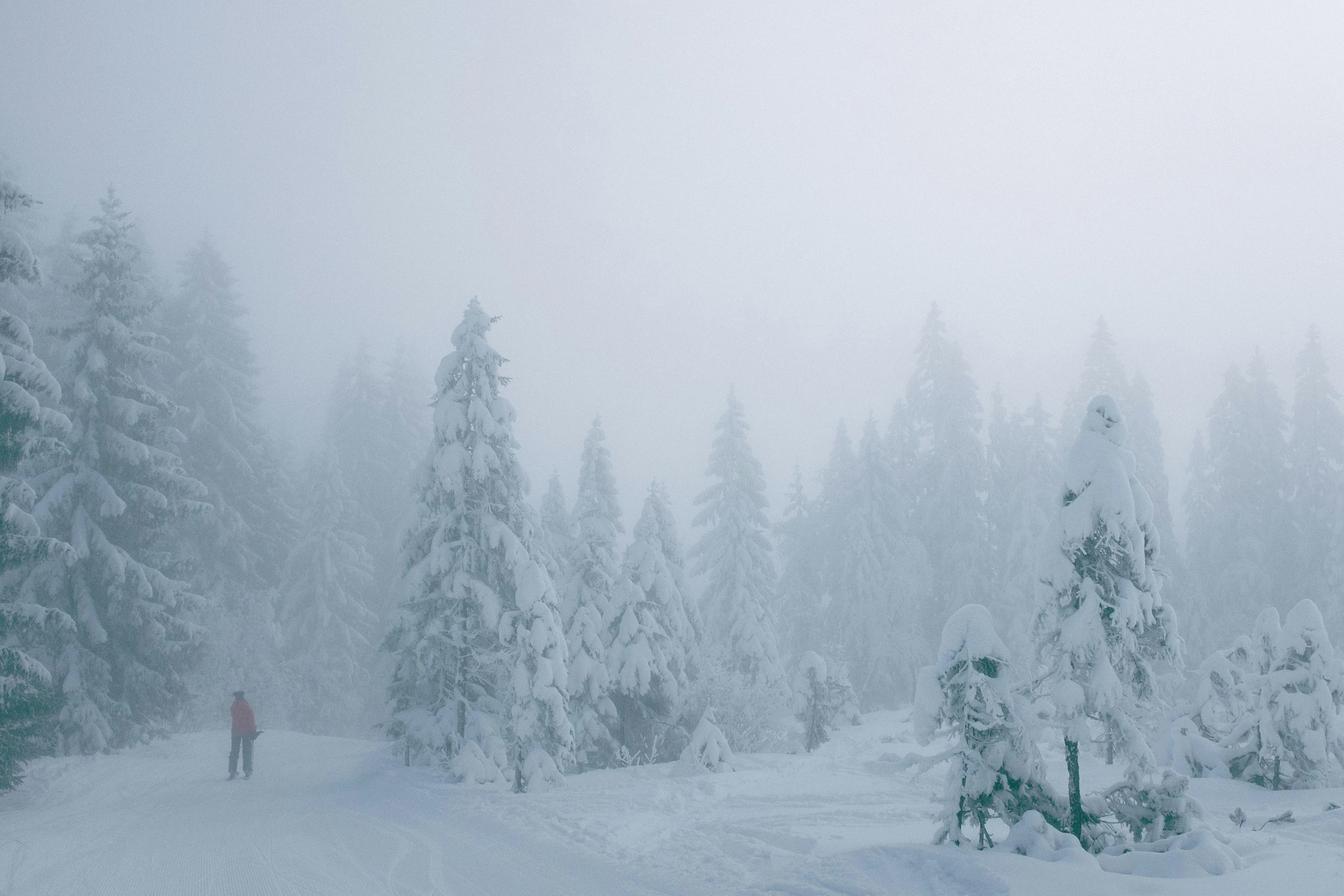 a person riding skis down a snow covered slope, by Emma Andijewska, pexels contest winner, romanticism, in the foggy huge forest, slightly pixelated, (3 are winter, winter landscape outside