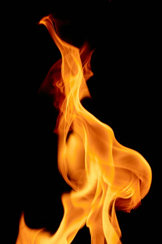 a close up of a fire on a black background, by Jan Rustem, stockphoto, profile image, flamboyant, a tall