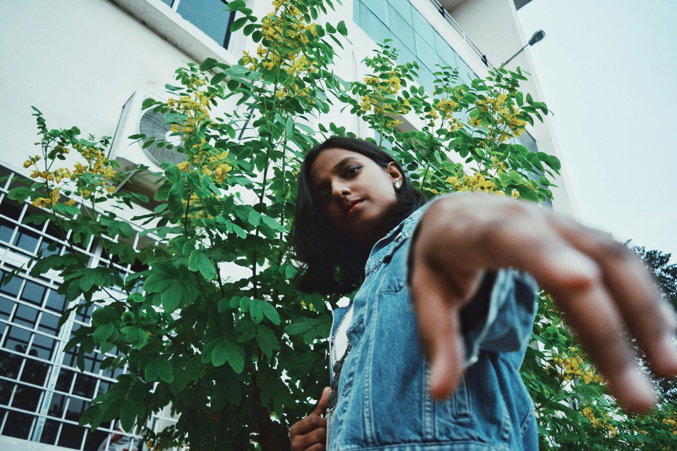 a woman standing next to a tree with a cell phone in her hand, an album cover, unsplash, realism, giving the middle finger, indian girl with brown skin, taken on go pro hero8, next to a plant