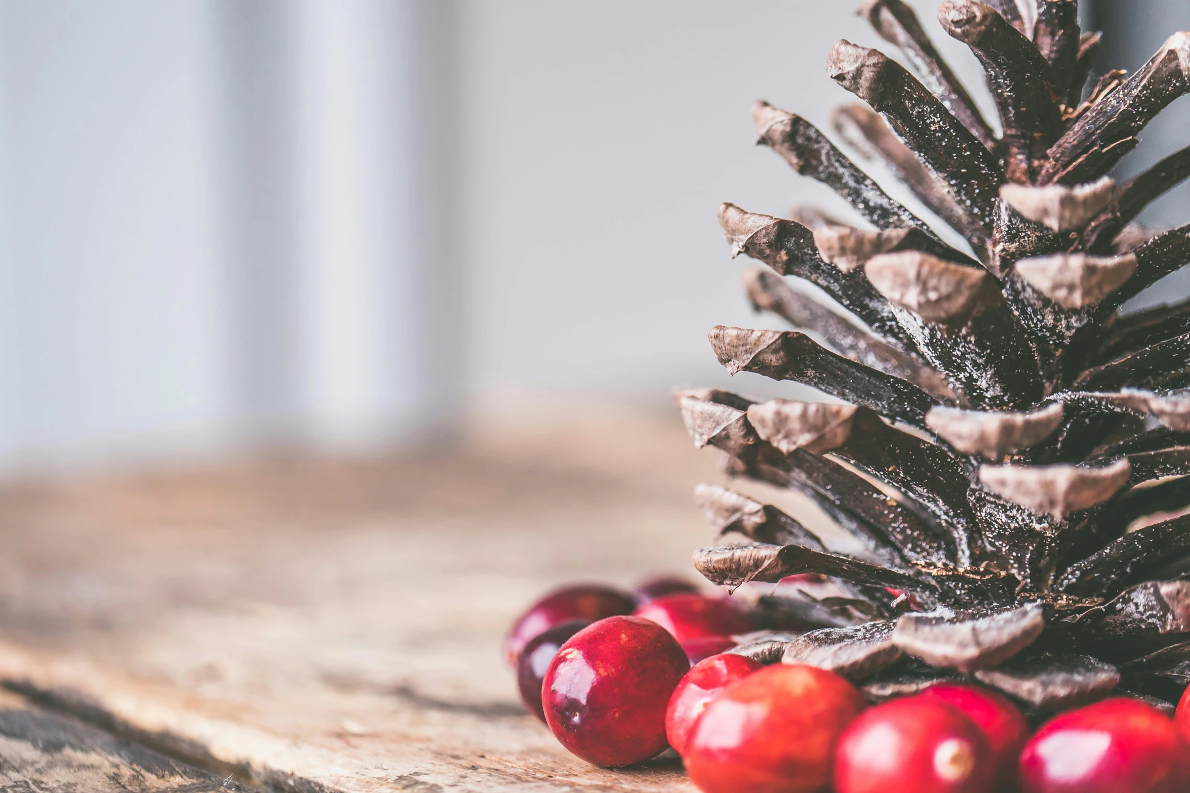 a pine cone sitting on top of a wooden table, a still life, inspired by Ernest William Christmas, pexels, cranberry statue, festive, grey, cone shaped