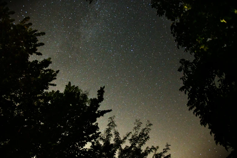 a night sky filled with lots of stars, a picture, over the tree tops, stars and planets visible, atmospheric dust, looking towards camera