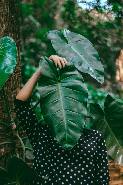 a woman in a polka dot dress standing next to a tree, inspired by Elsa Bleda, trending on pexels, monstera deliciosa, large leaves, sheltered, magnolia big leaves and stems