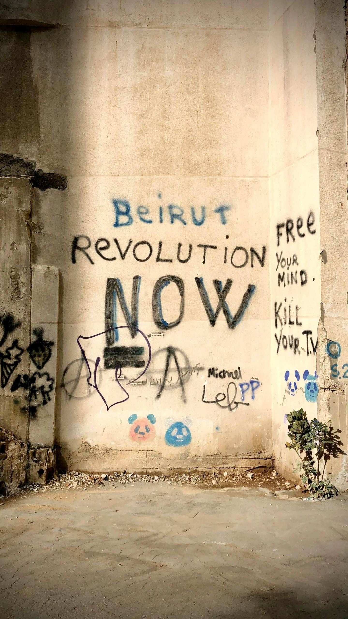 a man riding a skateboard on top of a cement wall, an album cover, pexels, graffiti, islamic revolution, lebanon kirsten dunst, vintage revolution photograph, a photograph of a rusty