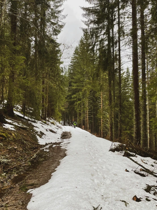 a man riding a snowboard down a snow covered slope, a picture, by Emma Andijewska, pexels contest winner, a beautiful pathway in a forest, rocky ground with a dirt path, early spring, panorama shot