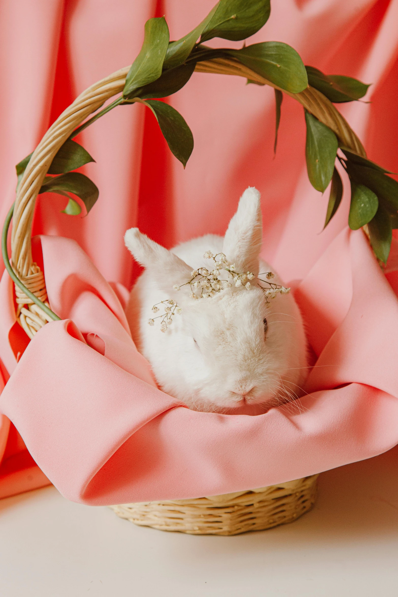 a close up of a basket with a stuffed animal in it, white flower crown, pink studio lighting, the white rabbit, covered in coral