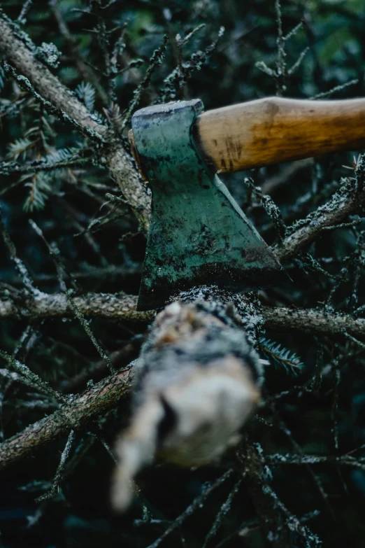 an axe stuck in the branches of a tree, pexels contest winner, shit grows, profile image, technical, farming