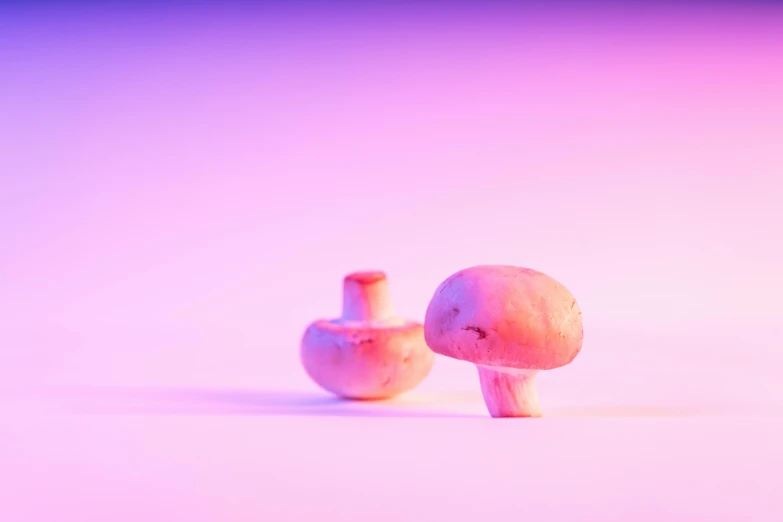 a couple of mushrooms sitting on top of a table, inspired by Elsa Bleda, unsplash, gradient pink, miscellaneous objects, low quality photo, purple ambient light