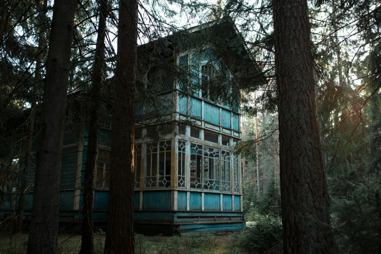 a blue house sitting in the middle of a forest, inspired by Elsa Bleda, unsplash contest winner, art nouveau, 000 — википедия, inside haunted house, a wooden, soviet architecture